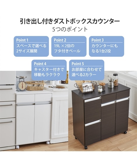 引き出し付きのダストボックスキッチンカウンター [3]