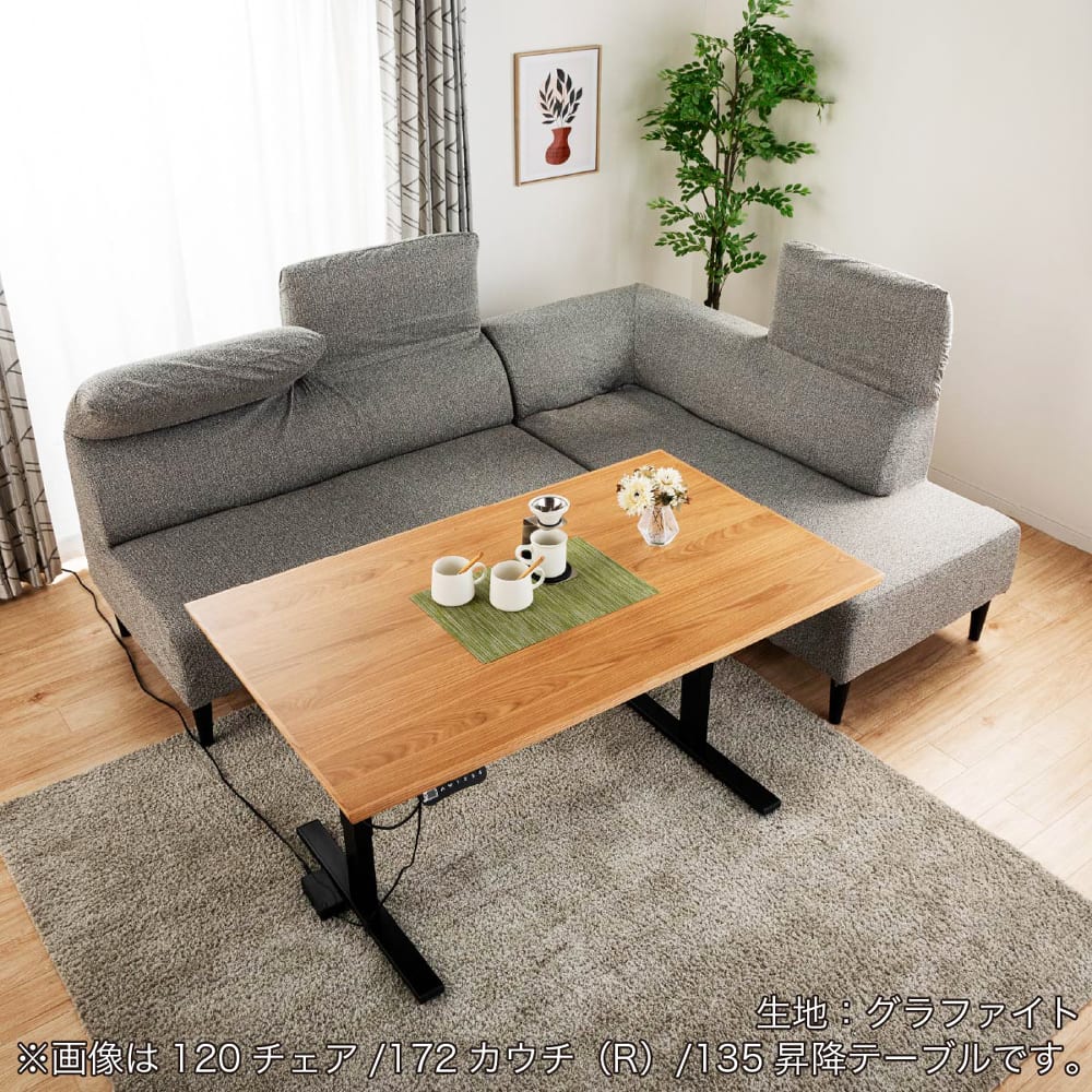 ＬＤチェア　レラクス１４０チェア　ＧＲＡ [4]