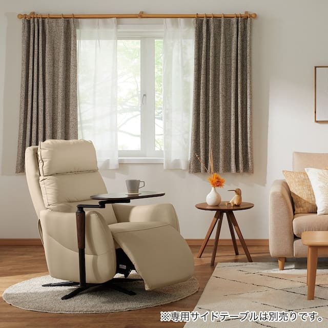 電動リクライニングパーソナルチェア(2モーター LE01-2 BE)　<N> [5]