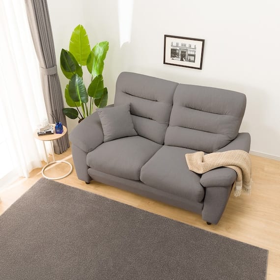 2人掛け布張りソファ　(Nポケット BS12 S-HI Nシールド AQ-MGY)　<N> [2]