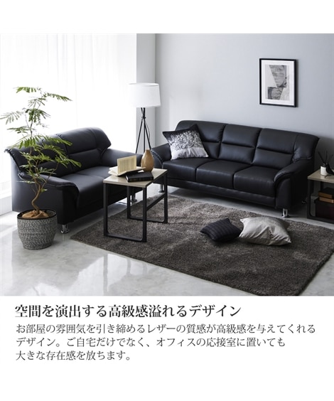 [2人掛け]ソファ｜合皮 シンプルモダン スチール脚 [3]