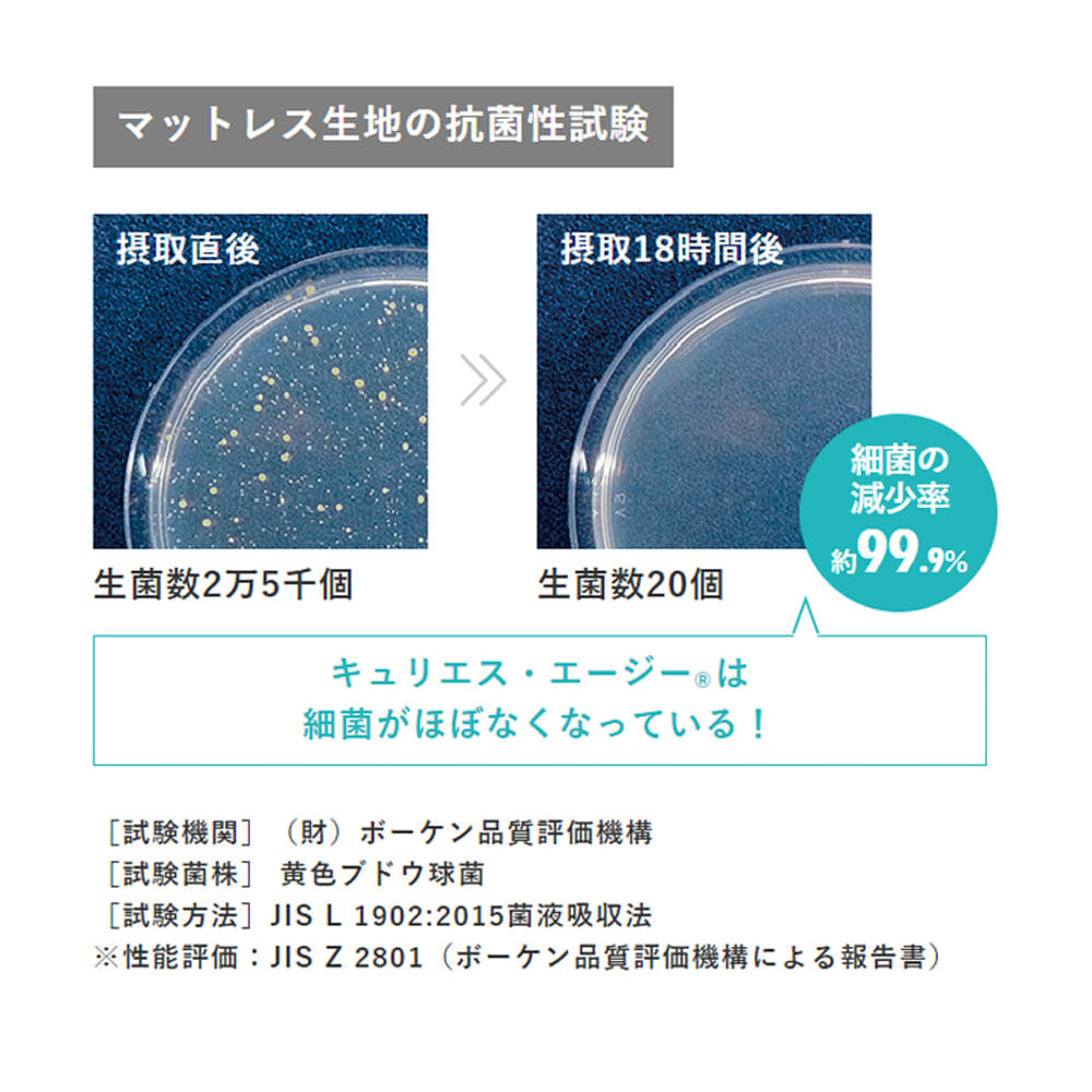 [フランスベッド] セミシングルマットレス　ＬＴ９９００ＰＷ−ＭＯＮハード [4]