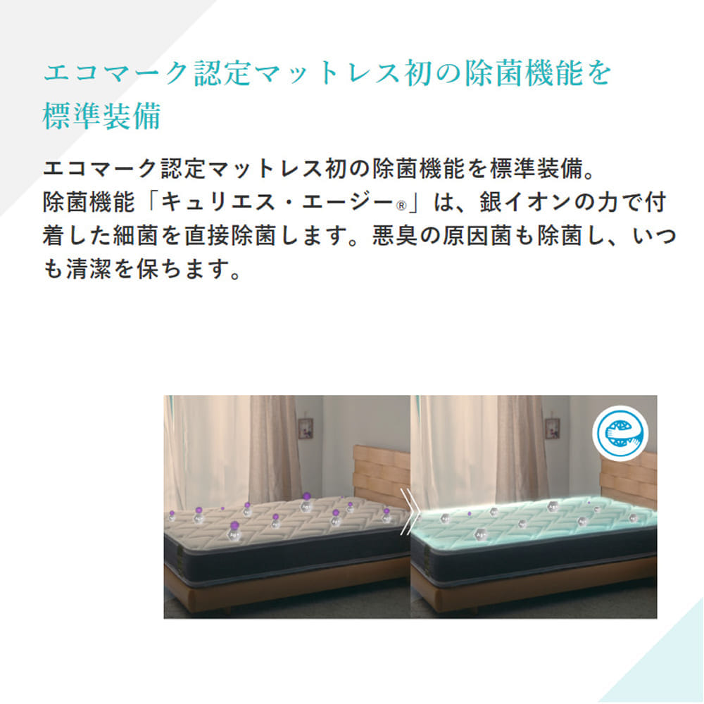 [フランスベッド] シングルマットレス　ＬＴ９９００ＰＷ−ＭＯＮ　Ｍソフト [2]