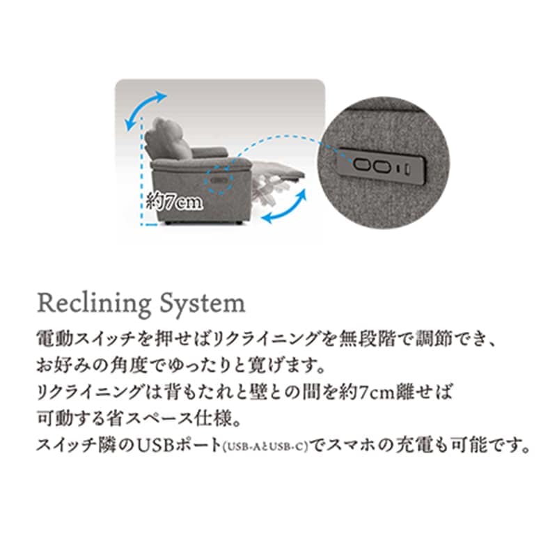 2人掛電動ソファ バースⅡ COW【大型商品配送】 [4]