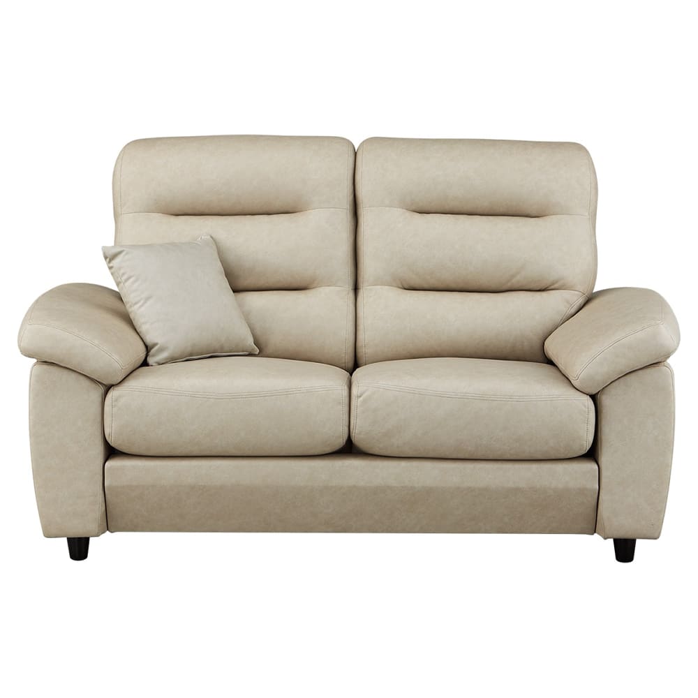 2人用ソファ（クッション１個付）(NポケットA12 S-HI KN-GY) <N> [2]