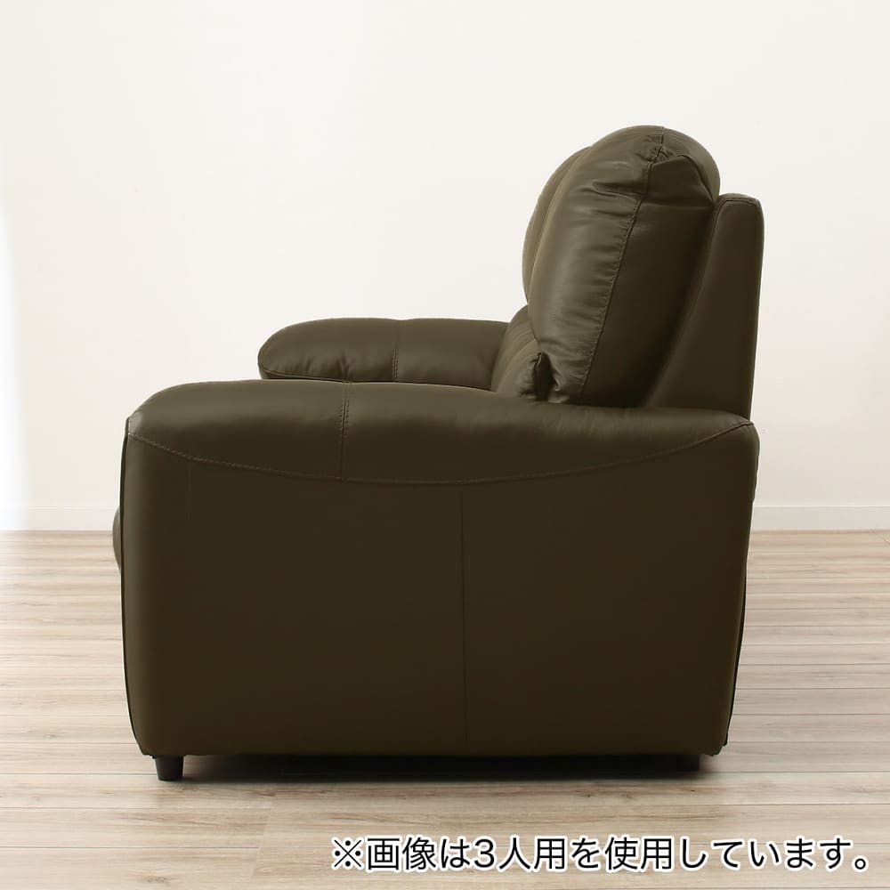 2人掛け両電動リクライニングソファ(ジャファー スタンダードタイプ NB GR) <N> [3]