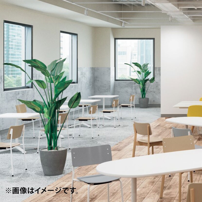 コクヨ VIENA ビエナ ミーティングテーブル 天板固定 台形 単柱脚 塗装脚 キャスター脚 ショート脚 幅860×奥行788×高さ720mm MT-VD87 [5]