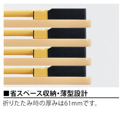 児童・塾・学校向け 折りたたみテーブル 省スペース 薄型 ロータイプ 国産 幅1200×奥行600×高さ450mm [4]