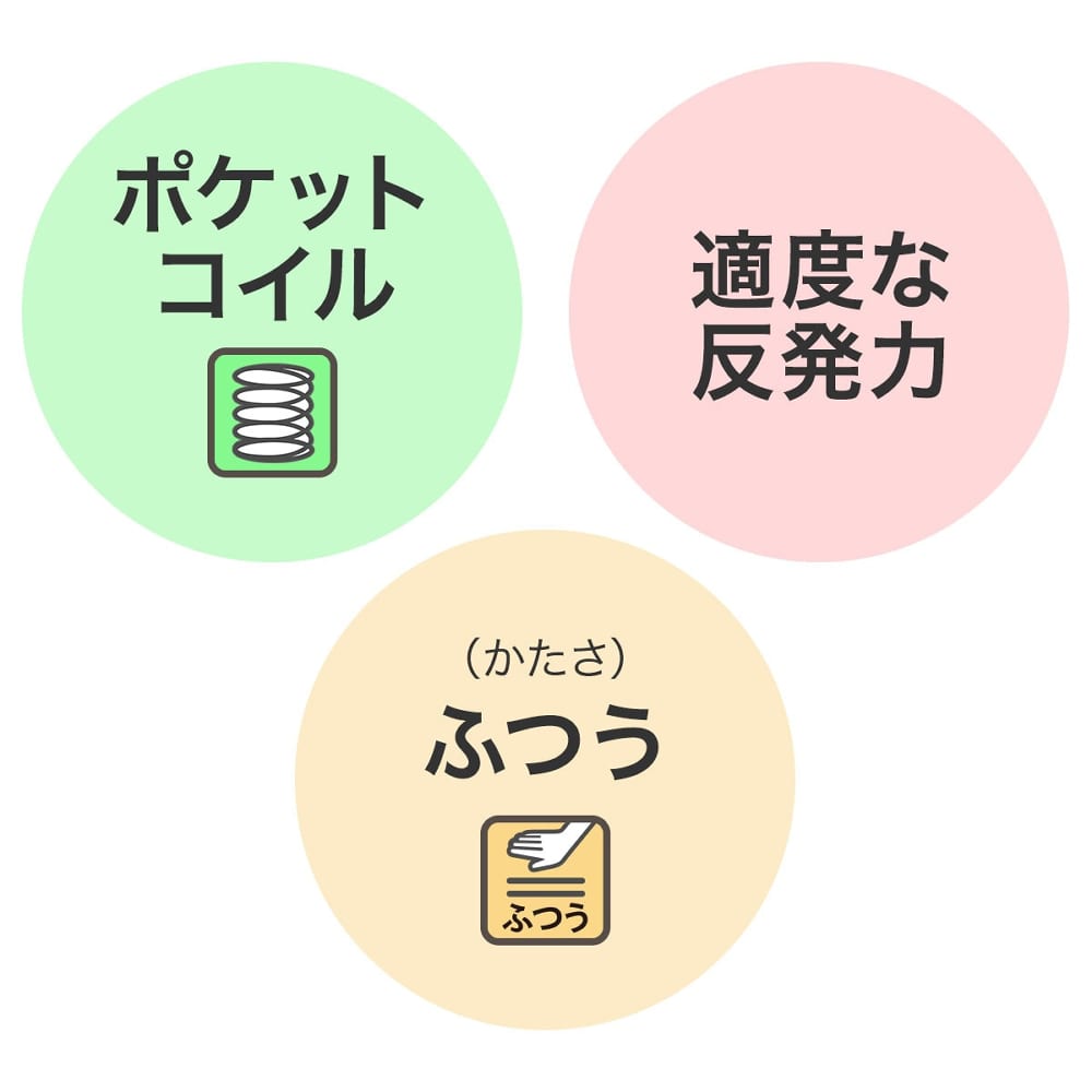 ダブルマットレス(Nスリープ C2-05 EM) <N> [2]