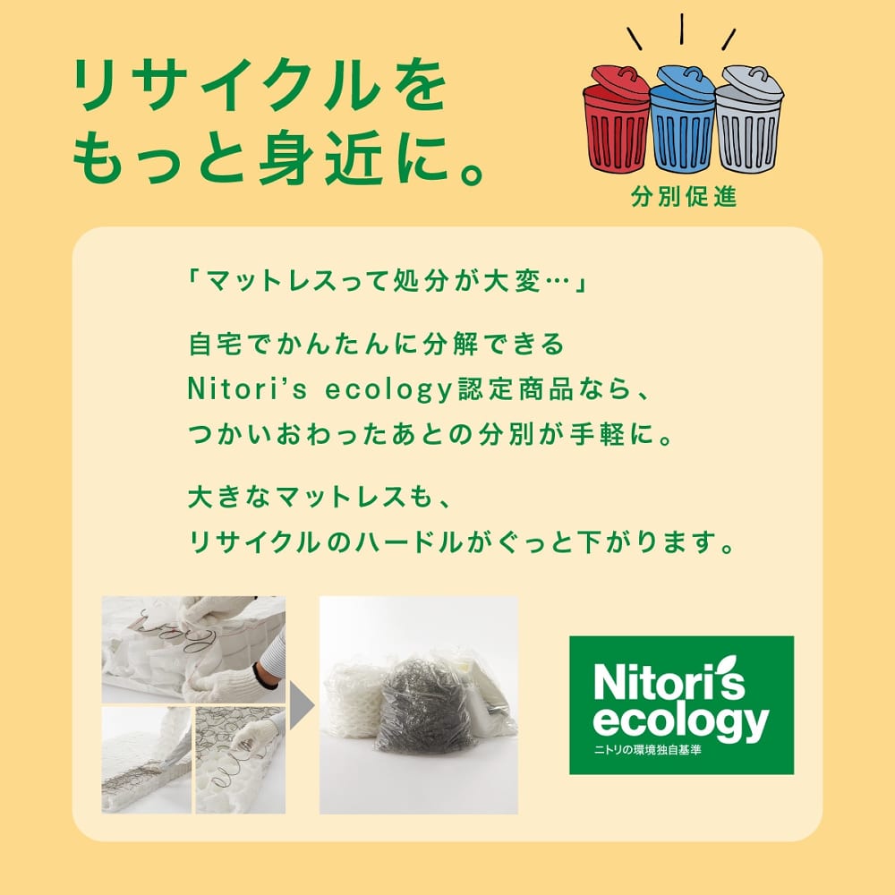 ダブルマットレス(Nスリープ C2-05 EM) <N> [3]