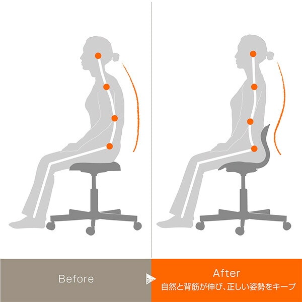 【10％オフクーポン対象】骨盤サポート オフィスチェア 座高36-48cm キャスター付き マイコンフィ MYCOMFY RC1100 ドリームウェア
										
											【会員登録でクーポンGET】 [5]