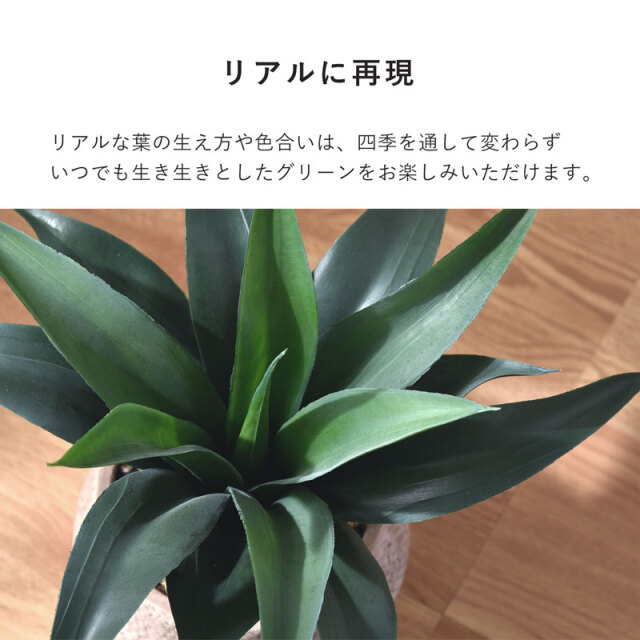 フェイクグリーン アガベ 40cm セメントポット [5]