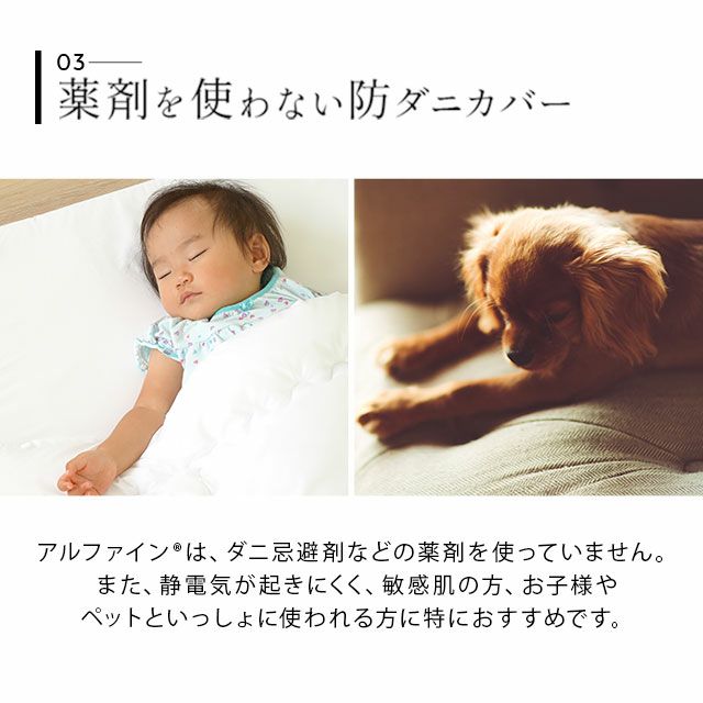 【東洋紡アルファイン】 日本製 抗菌・防臭・防ダニ ボックスシーツ/ベッド用布団カバー クイーンサイズ [5]