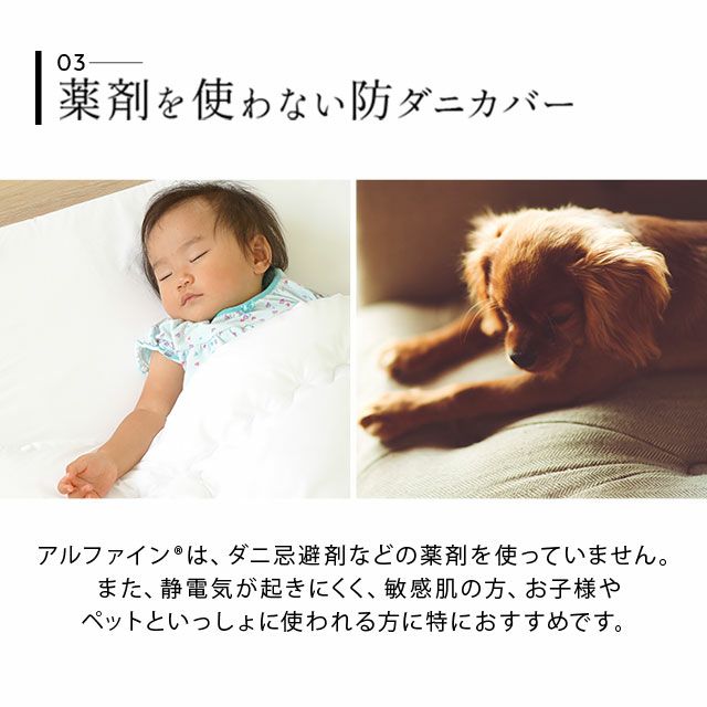 【東洋紡アルファイン】 日本製 抗菌・防臭・防ダニ 掛け布団カバー シングルサイズ [3]