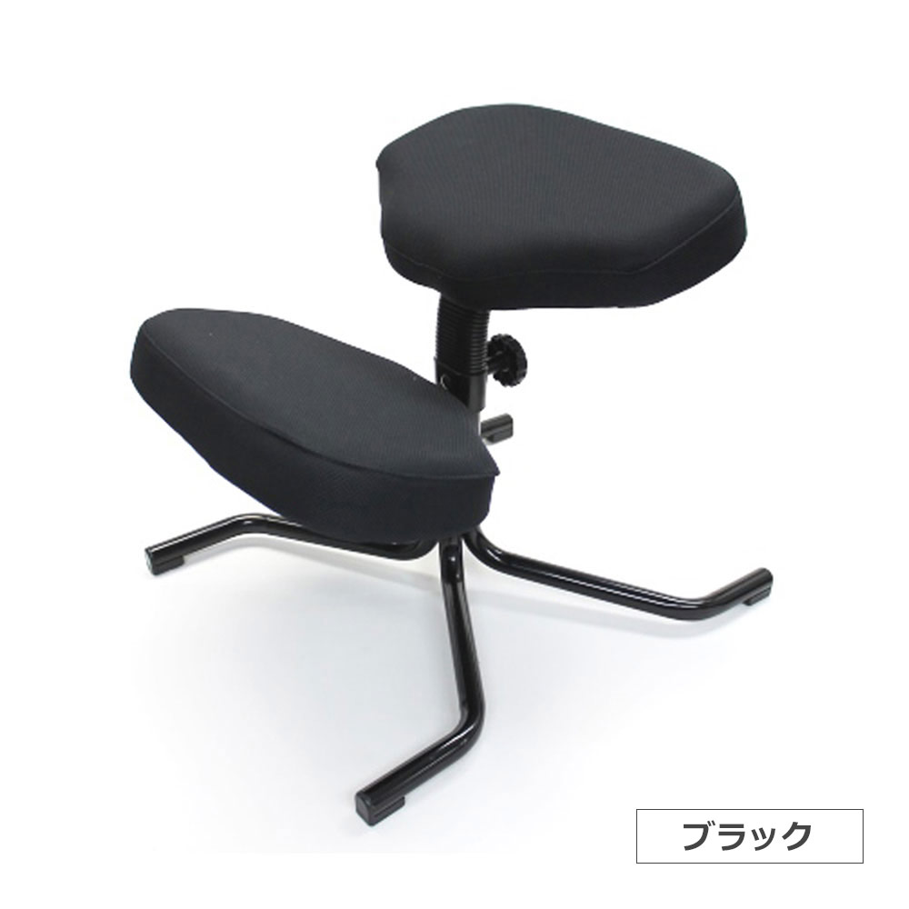 デスクチェア「バランスチェア」無地カバー 全5色 [3]