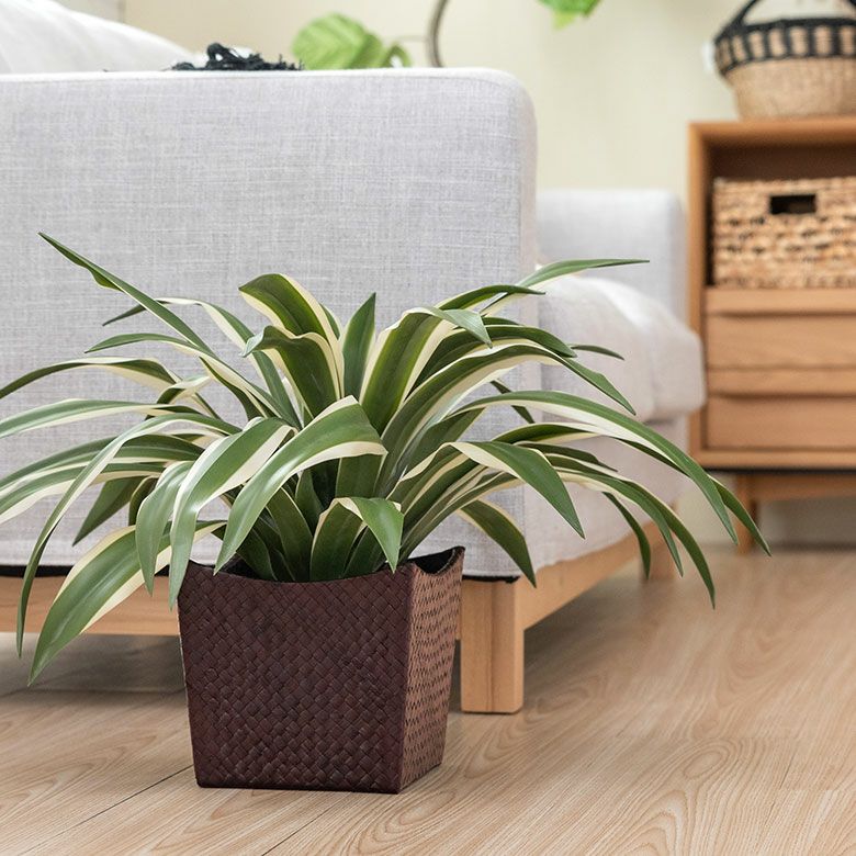 ゴミ箱はもちろんプランターカバーや収納バスケットにも使える [4]