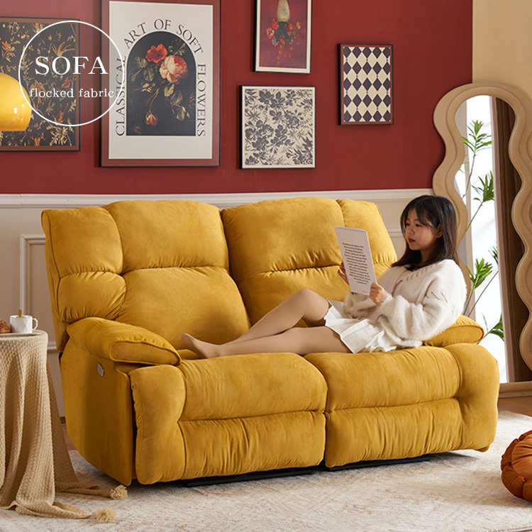 ソファ 2人掛け 電動ソファー おしゃれ モダン 北欧風 dlo-5505-2p