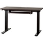 電動昇降デスク　JDE120×60　脚ブラック(デンドウショウコウデスク　ジェイディーイー120×60　アシブラック) / 小島工芸 [4]