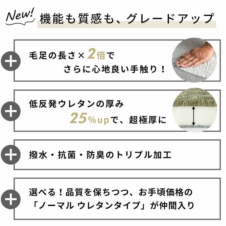 撥水・抗菌・防臭のトリプル加工 ふんわりリッチな37ミリ極厚低反発ラグ mofine（モフィネ）