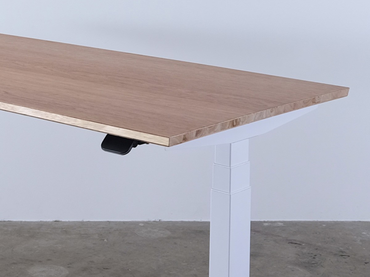 FeEL / フィール 電動昇降デスク（ラワン天板） [3]