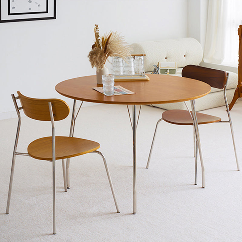  天然の木目 ステンレス脚 モダン [2]