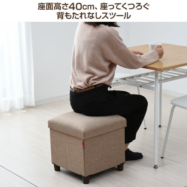 【10％オフクーポン対象】収納スツール 脚付き 幅38 収納ボックス フタ付き ALS-38 山善 YAMAZEN
										
											【会員登録でクーポンGET】 [2]