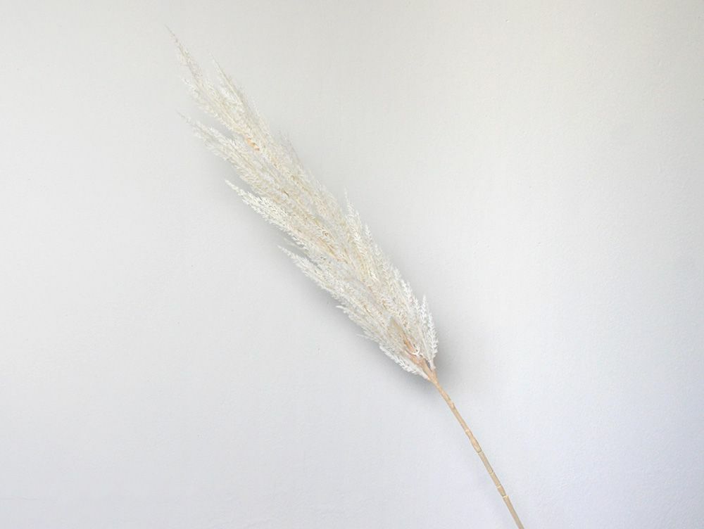 Artificial flower Pampas（big）