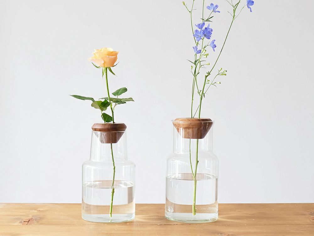 acacia plant cap [3]