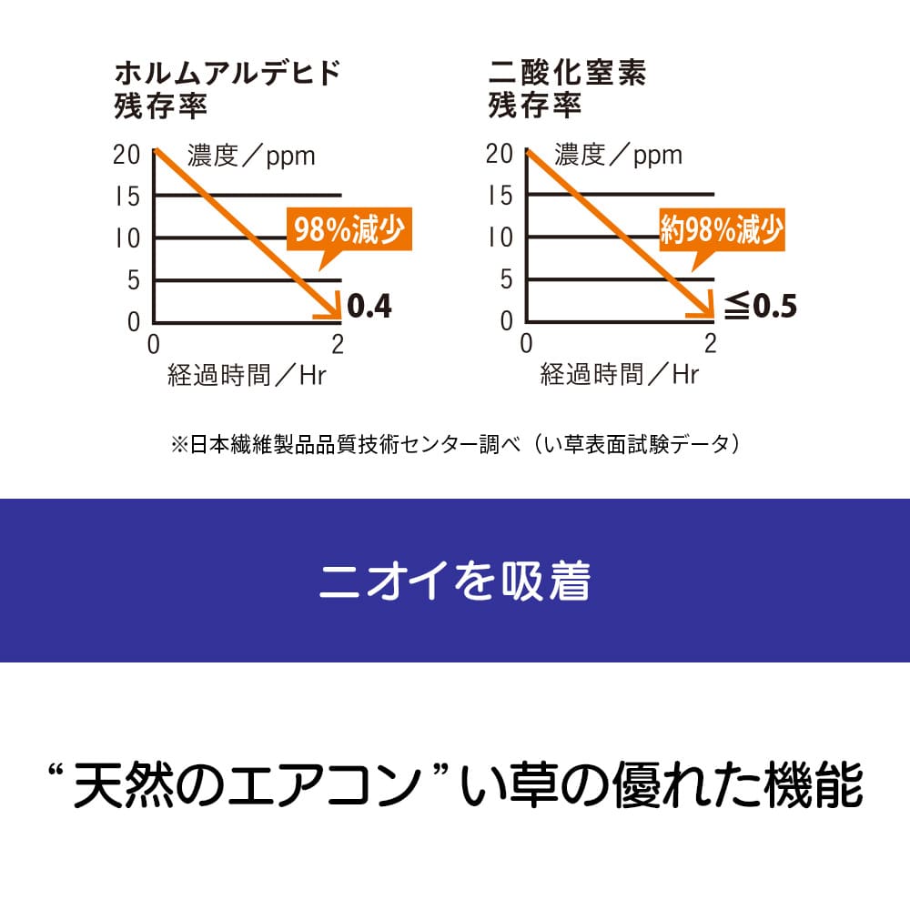 国産掛川織 い草ラグ（裏付き/裏付きふっくら）