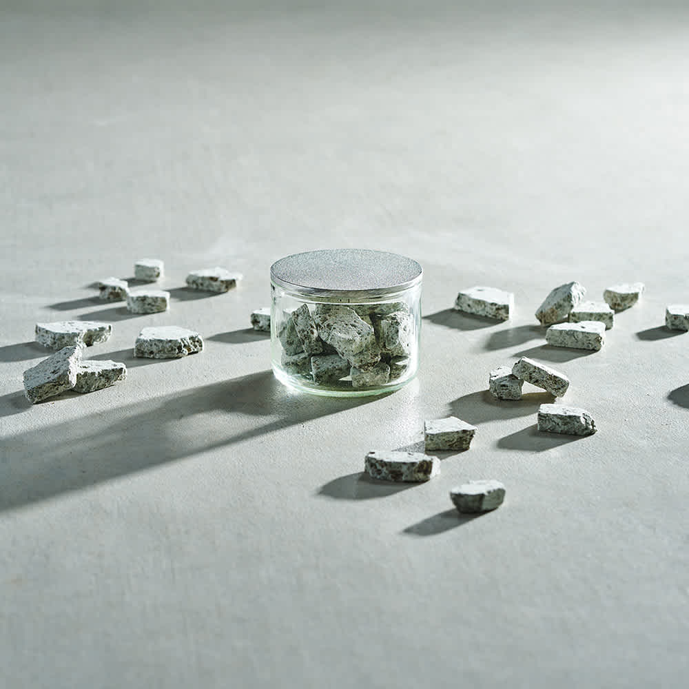 ナガエプリュス【オオヤアロマストーン】