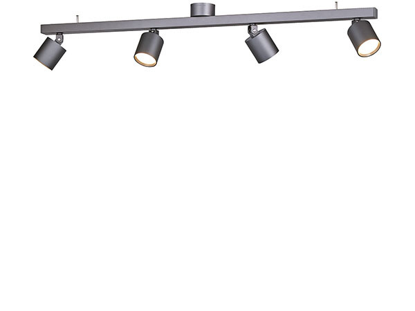 Down Light / 4灯 ダウンライト #104662 [2]