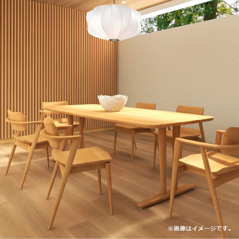 飛騨産業 ダイニングチェア（肘付き）「SEOTO-EX」 板座 アームチェア 全2色【受注生産品】
