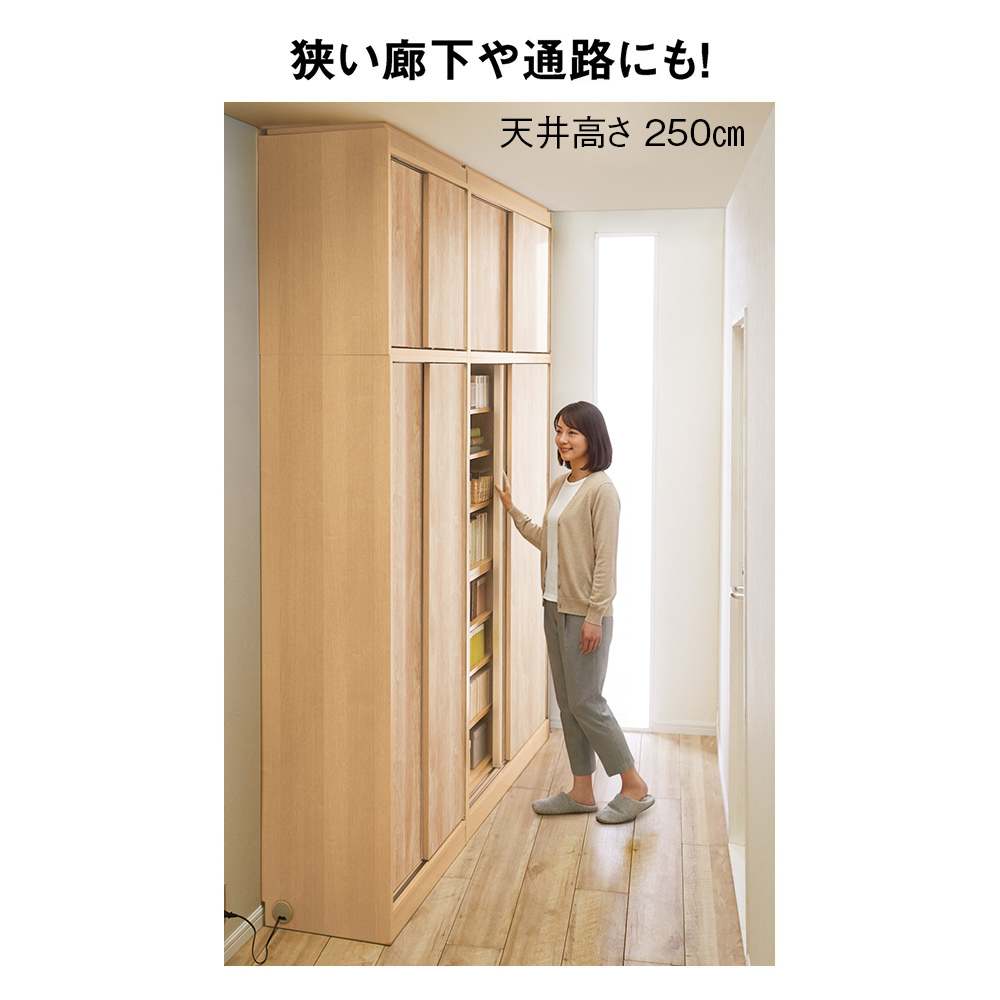 狭い場所でも収納たっぷり引き戸壁面収納シリーズ 収納庫 扉タイプ 幅75cm [4]