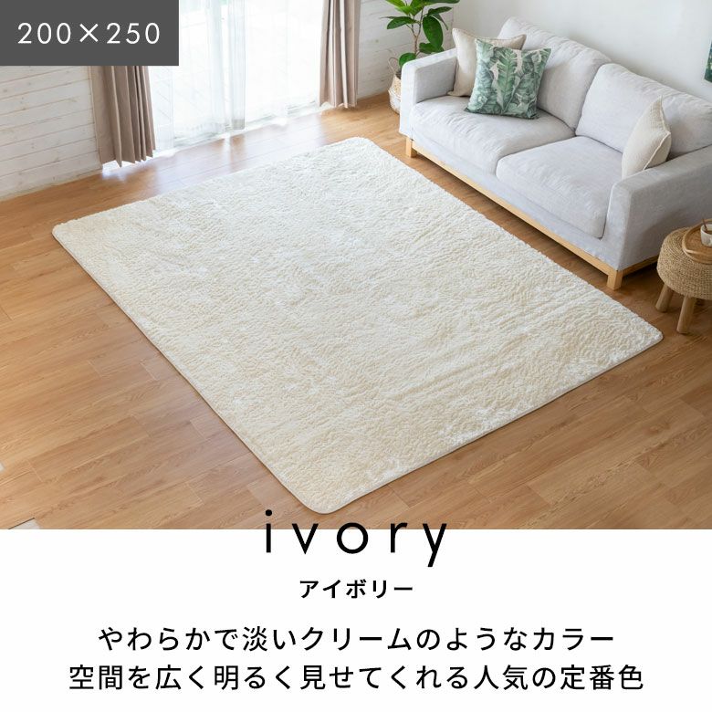 おしゃれ 洗濯 アジア工房　100×140　1畳 小さめ 床暖房 [4]