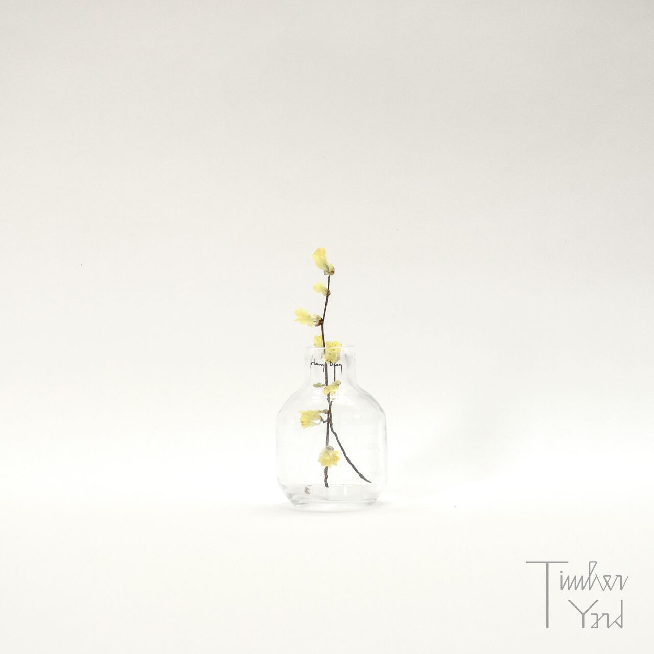 Barbat XS / クリア / D8×H11.5cm / 手吹きガラス / バルバット / AT0915 / フラワーベース / 花器 / 花瓶 / Henry Dean（ヘンリーディーン） [4]