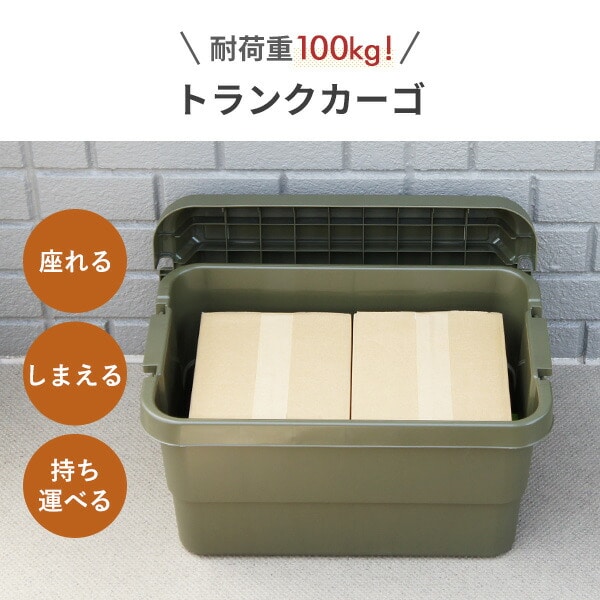 トランクカーゴ 座れる 収納ボックス 50L TC-50 リス RISU
										
											【会員登録でクーポンGET】 [2]