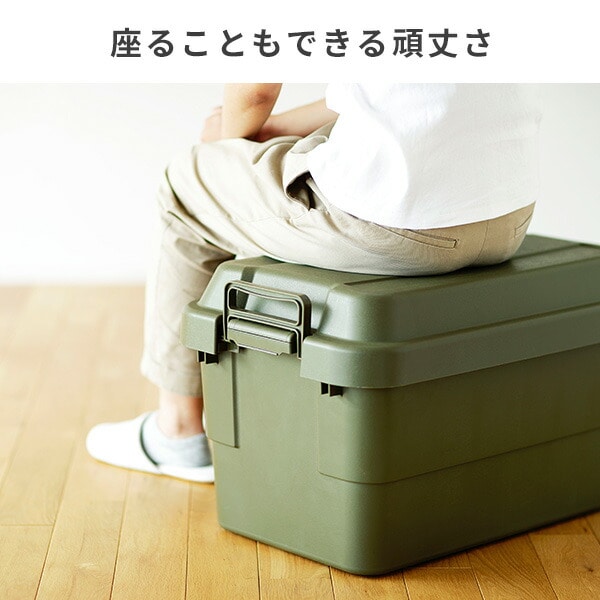 トランクカーゴ 座れる 収納ボックス 50L TC-50 リス RISU
										
											【会員登録でクーポンGET】 [3]