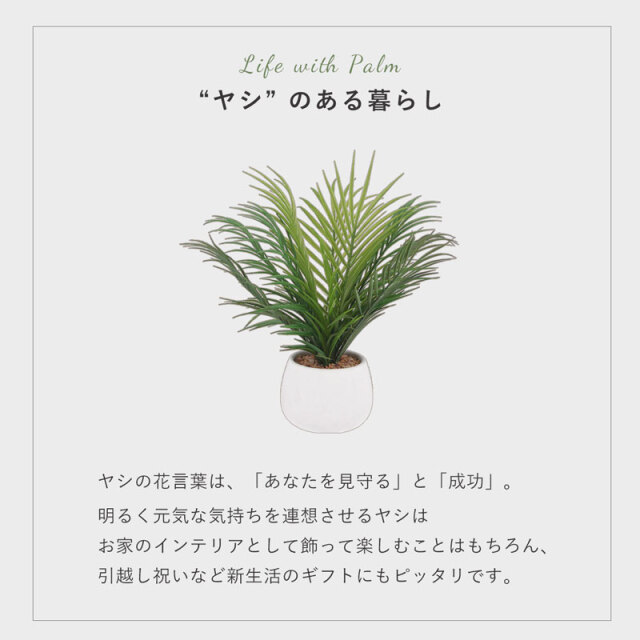 フェイクグリーン ヤシ 36cm セラミックポット [3]
