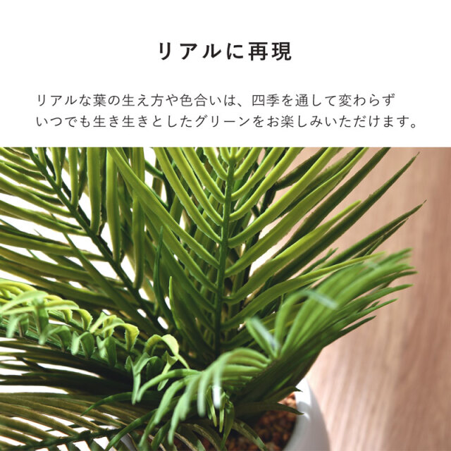 フェイクグリーン ヤシ 36cm セラミックポット [5]